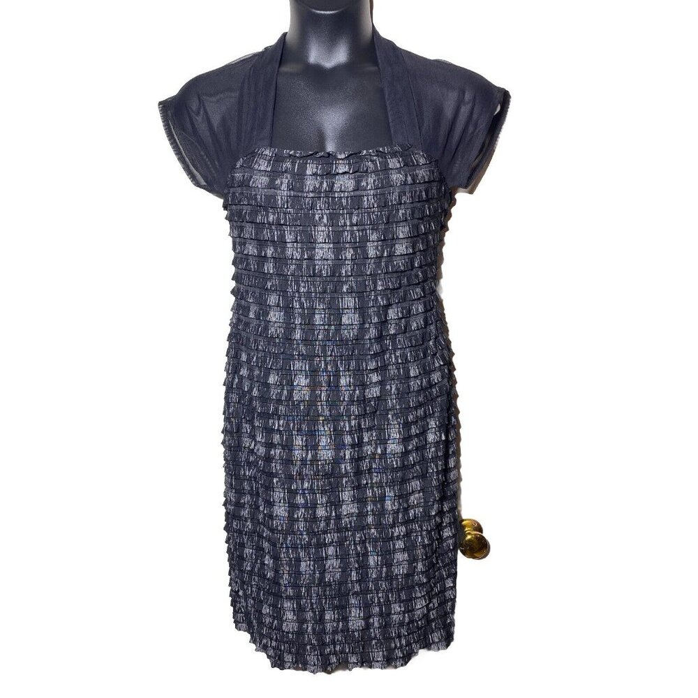 R&M Richards Black Size 10 Sheer Illusion Neckline Pleated  Dress Semi Formal